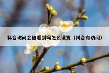 抖音访问会被看到吗怎么设置（抖音有访问）