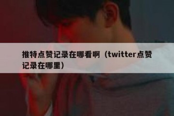 推特点赞记录在哪看啊（twitter点赞记录在哪里）