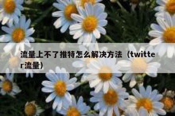 流量上不了推特怎么解决方法（twitter流量）