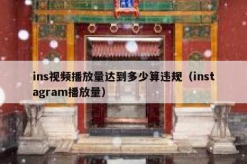 ins视频播放量达到多少算违规（instagram播放量）