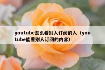 youtube怎么看别人订阅的人（youtube能看别人订阅的内容）