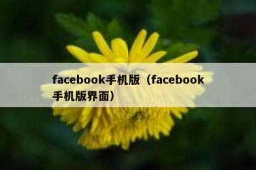 facebook手机版（facebook手机版界面）