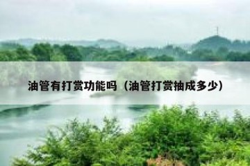 油管有打赏功能吗（油管打赏抽成多少）
