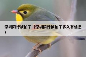 深圳限行被拍了（深圳限行被拍了多久有信息）