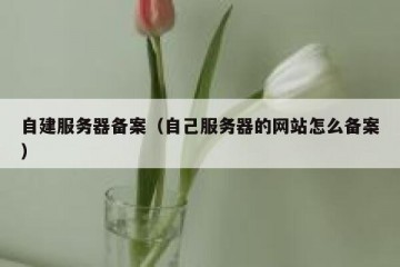 自建服务器备案（自己服务器的网站怎么备案）
