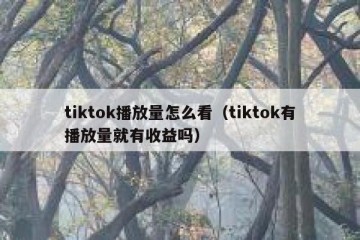 tiktok播放量怎么看（tiktok有播放量就有收益吗）