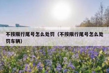 不按限行尾号怎么处罚（不按限行尾号怎么处罚车辆）