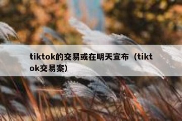 tiktok的交易或在明天宣布（tiktok交易案）