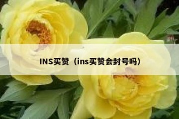 INS买赞（ins买赞会封号吗）