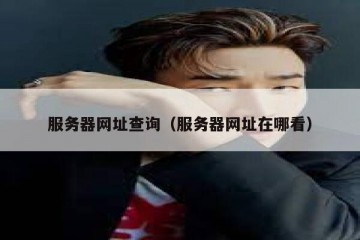 服务器网址查询（服务器网址在哪看）