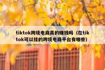tiktok跨境电商真的赚钱吗（在tiktok可以挂的跨境电商平台有哪些）