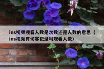 ins视频观看人数是次数还是人数的意思（ins视频有访客记录吗观看人数）