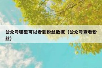 公众号哪里可以看到粉丝数据（公众号查看粉丝）