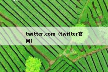 twitter.com（twitter官网）