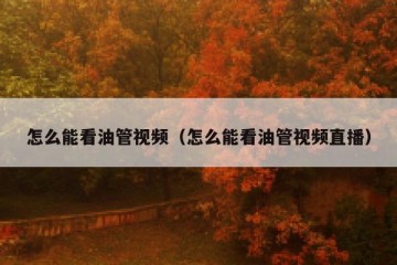 怎么能看油管视频（怎么能看油管视频直播）