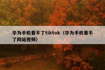 华为手机看不了tiktok（华为手机看不了网站视频）