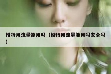推特用流量能用吗（推特用流量能用吗安全吗）