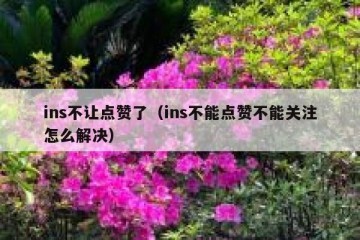 ins不让点赞了（ins不能点赞不能关注怎么解决）