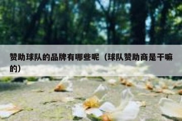 赞助球队的品牌有哪些呢（球队赞助商是干嘛的）