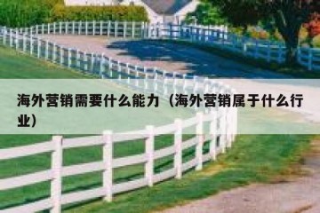 海外营销需要什么能力（海外营销属于什么行业）