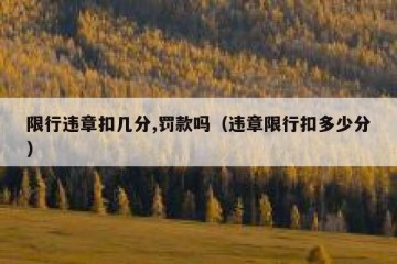 限行违章扣几分,罚款吗（违章限行扣多少分）