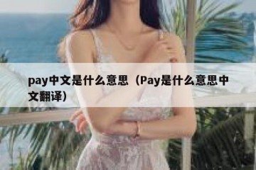 pay中文是什么意思（Pay是什么意思中文翻译）
