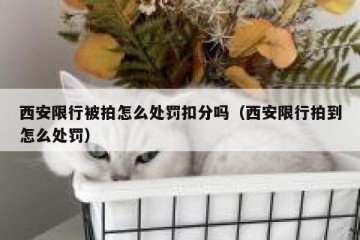 西安限行被拍怎么处罚扣分吗（西安限行拍到怎么处罚）
