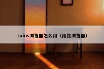 rains浏览器怎么用（雨丝浏览器）