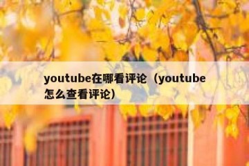 youtube在哪看评论（youtube怎么查看评论）