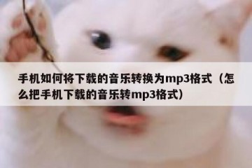 手机如何将下载的音乐转换为mp3格式（怎么把手机下载的音乐转mp3格式）