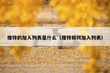 推特的加入列表是什么（推特如何加入列表）