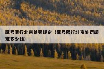 尾号限行北京处罚规定（尾号限行北京处罚规定多少钱）