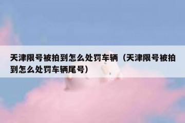 天津限号被拍到怎么处罚车辆（天津限号被拍到怎么处罚车辆尾号）