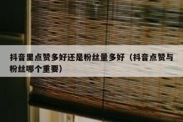 抖音里点赞多好还是粉丝量多好（抖音点赞与粉丝哪个重要）