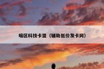 暗区科技卡盟（辅助低价发卡网）