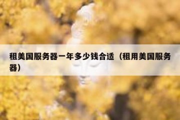 租美国服务器一年多少钱合适（租用美国服务器）