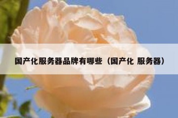 国产化服务器品牌有哪些（国产化 服务器）