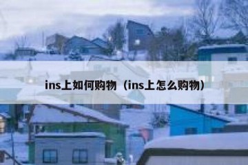ins上如何购物（ins上怎么购物）