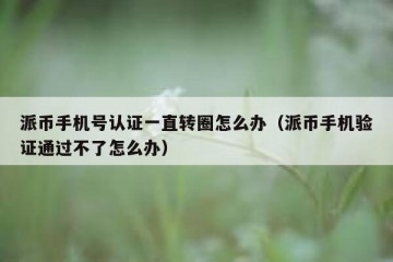 派币手机号认证一直转圈怎么办（派币手机验证通过不了怎么办）