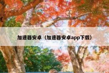 加速器安卓（加速器安卓app下载）