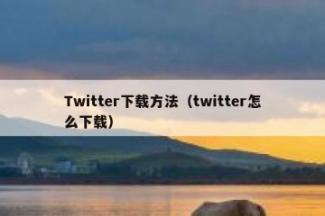 Twitter下载方法（twitter怎么下载）