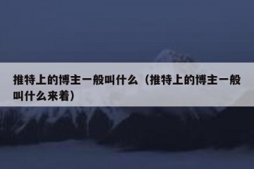 推特上的博主一般叫什么（推特上的博主一般叫什么来着）