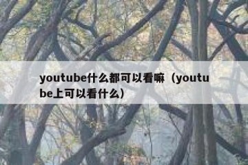 youtube什么都可以看嘛（youtube上可以看什么）