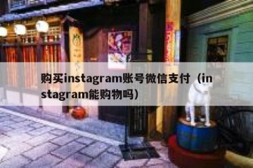 购买instagram账号微信支付（instagram能购物吗）
