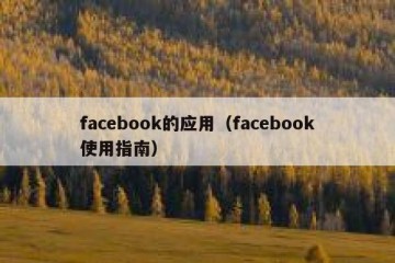 facebook的应用（facebook使用指南）