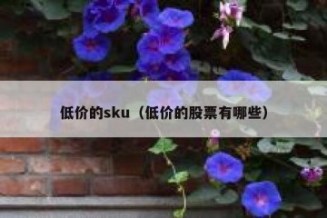 低价的sku（低价的股票有哪些）