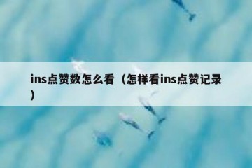ins点赞数怎么看（怎样看ins点赞记录）