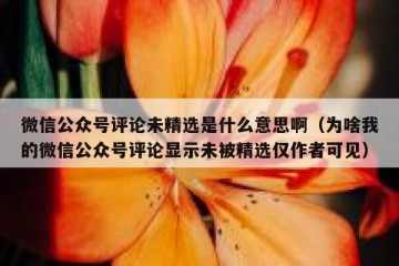 微信公众号评论未精选是什么意思啊（为啥我的微信公众号评论显示未被精选仅作者可见）