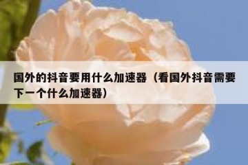 国外的抖音要用什么加速器（看国外抖音需要下一个什么加速器）