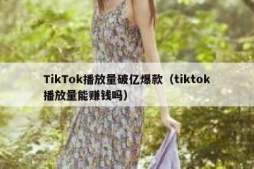 TikTok播放量破亿爆款（tiktok播放量能赚钱吗）
